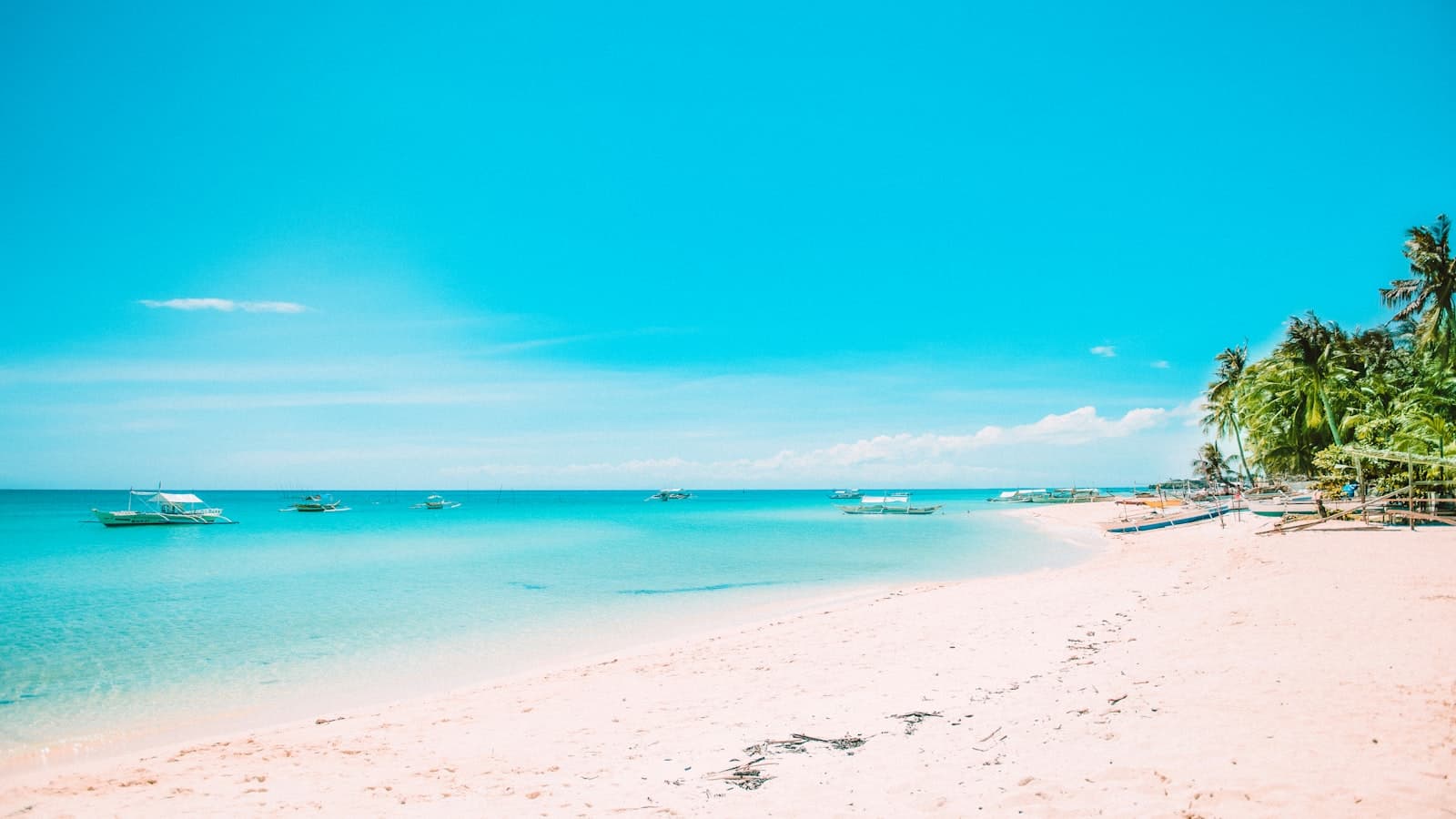 A white sandy beach with palm trees and boats, the kind of destination a specialised advisor becomes known for A white sandy beach with palm trees and boats, the kind of destination a specialised advisor becomes known for