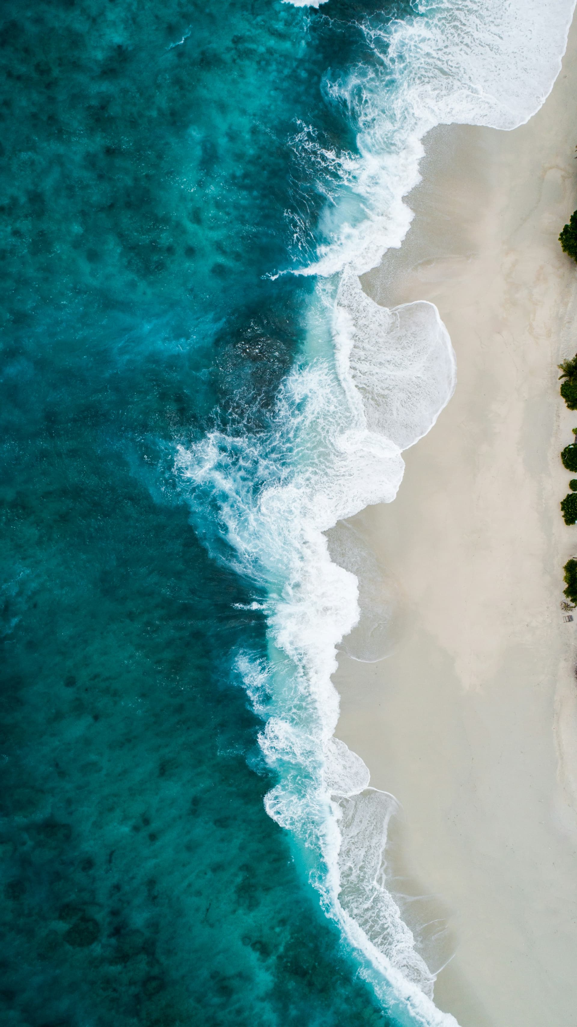 Travel advisor business growth assessment Aerial view of a turquoise shoreline